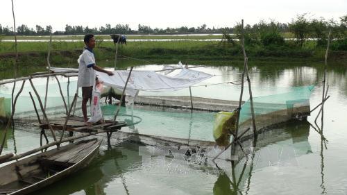 Hơn 664 tỷ đồng cho thoát lũ và phát triển sinh kế tại Đồng Tháp 